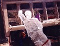 Ice Sculptures\New Folder\Chicago15.JPG (34539 bytes)
