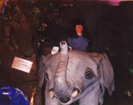 Chicago005.jpg Picture 2 of 3 (18571 Bytes)